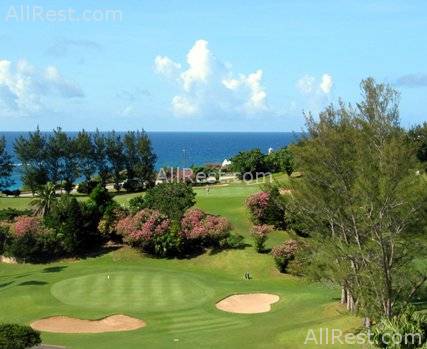 The Reefs 40